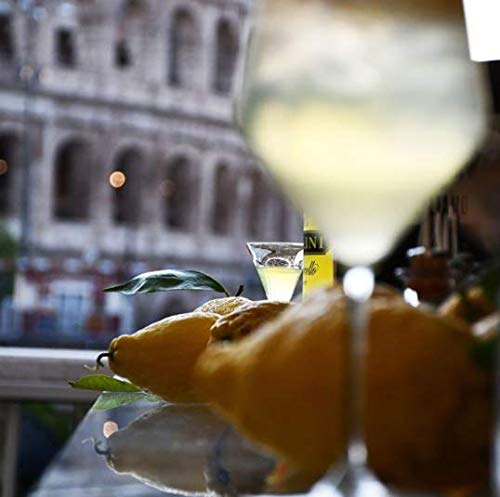 pallini-limoncello-100-cl-al-limone-amalfi-26 image 4