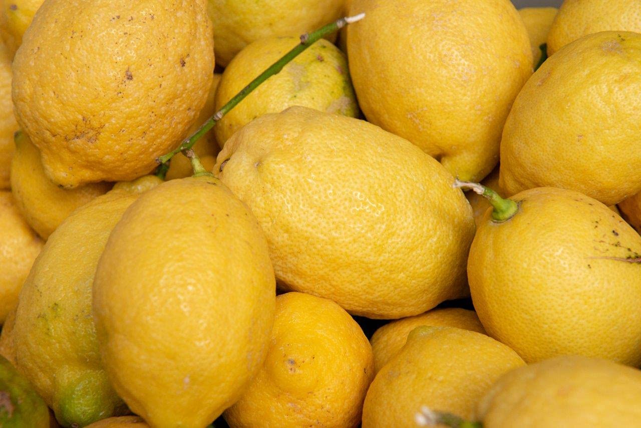 pallini-limoncello-vegan-cream-500-ml-al-latte-di-cocco-14-5 image 5