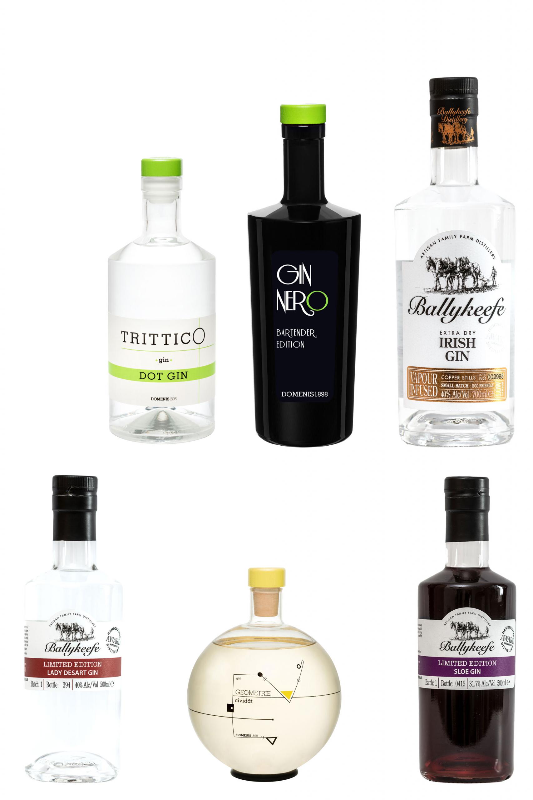 domenis1898-the-gin-collection-set-6-ricette-gin image 1