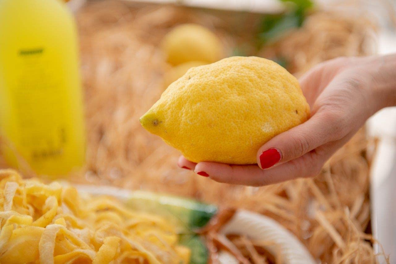 pallini-liquore-di-limoncello-500-ml-limoni-di-amalfi image 4